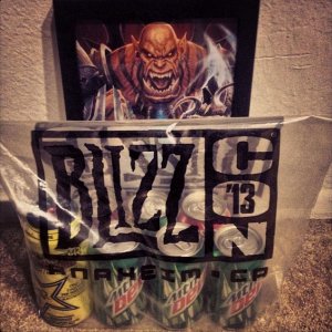 Blizzcon 2013 Goodie Bag