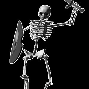 Skeleton