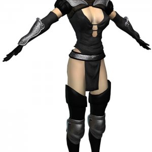 Assassin Render