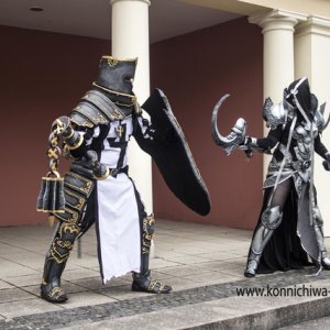 Crusader and Malthael