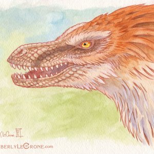 Feathered Velociraptor