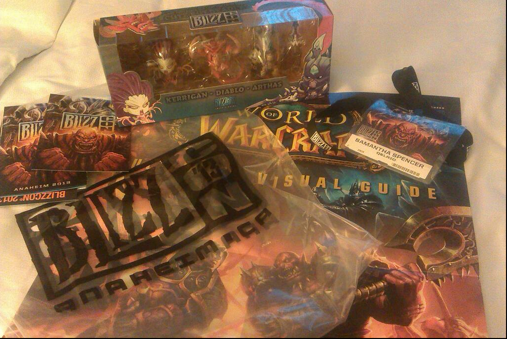 Blizzcon 2013 Goodie Bag