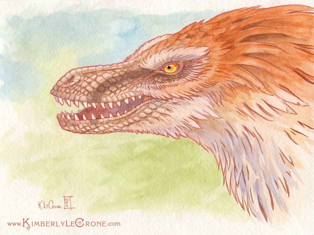 Feathered Velociraptor