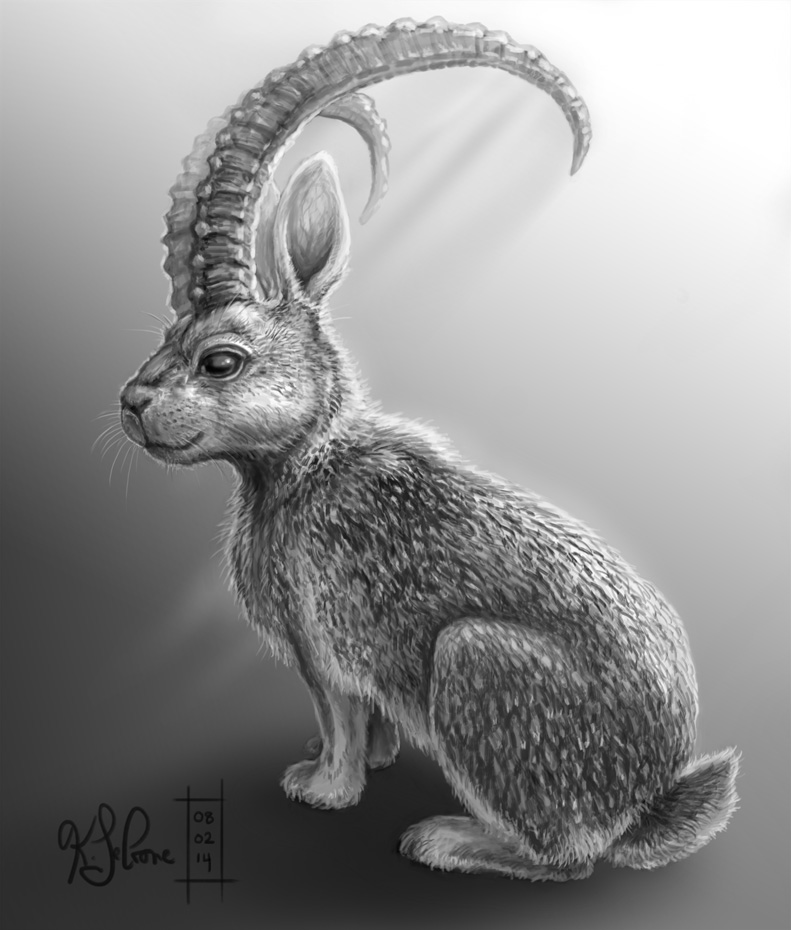 Rabbit