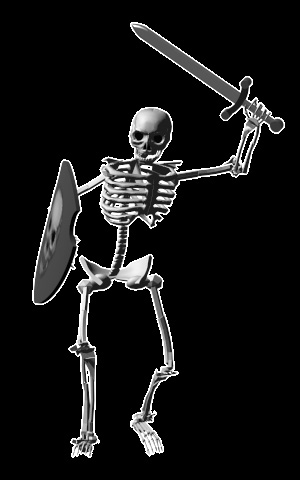 Skeleton