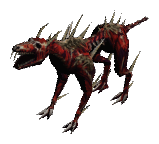 The Flayed Hound